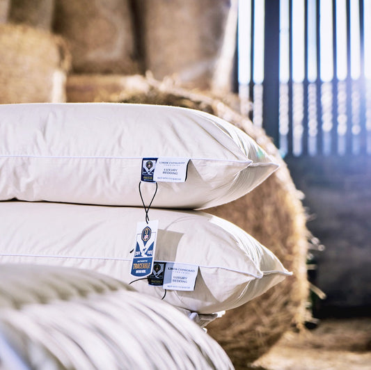 Finest British Wool Pillows